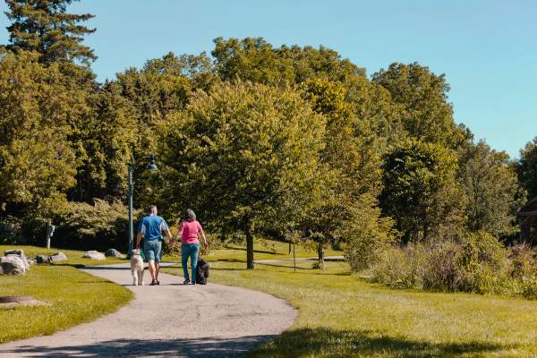 Centennial Park Camping