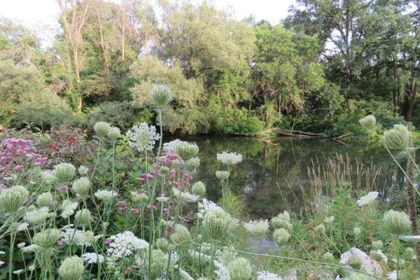 Embro Pond Conservation Area