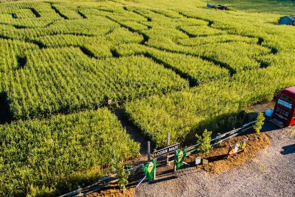 Snyder's Family Farm