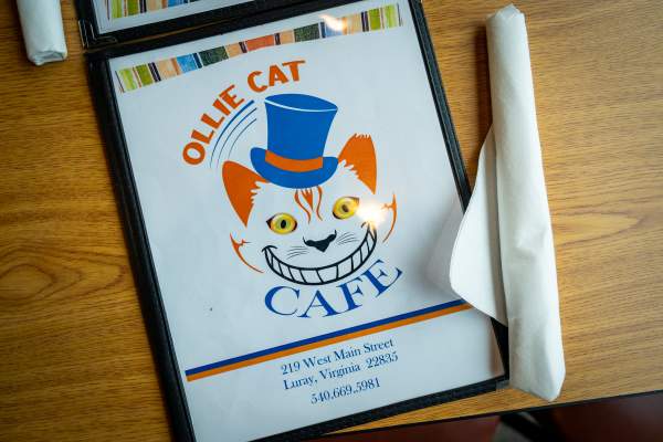 Ollie Cat Cafe