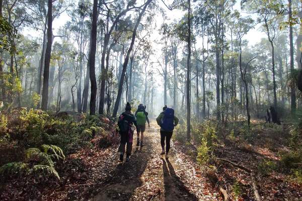 Elevate & Explore | Yarragil to Murray Endurance Hike
