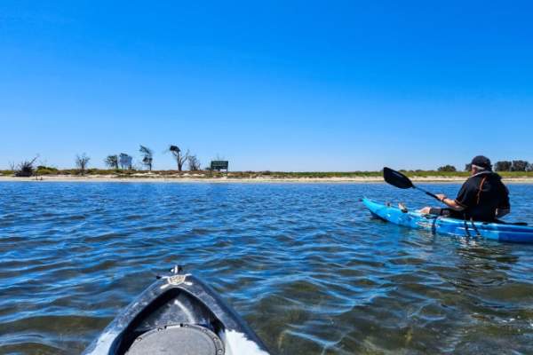 Sunrise Wildlife & Wetlands Kayaking Experience