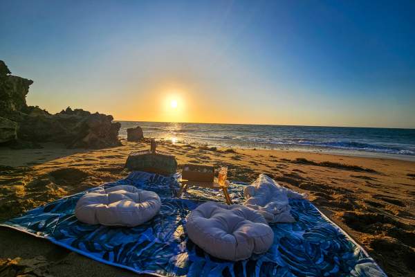 Seascapes: Ancient Forest and Coastal Serenity