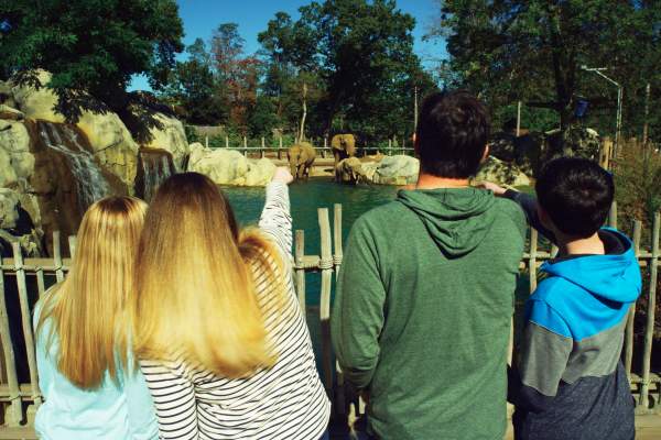 Roger Williams Park Zoo & Carousel Village