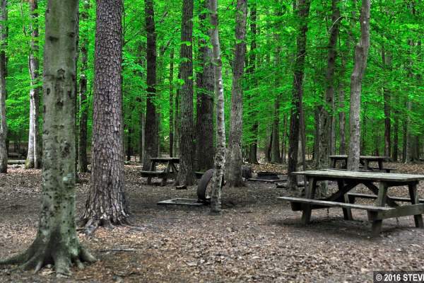 Turkey Run Ridge Group Campground