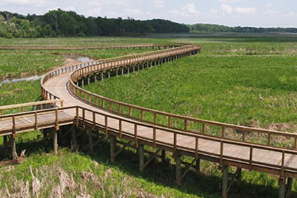 Neabsco Creek Boardwalk
