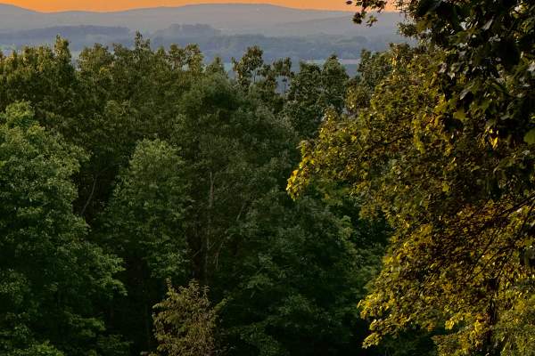 Uwharrie Mountains-Birkhead Wilderness Area/Thornburg Trailhead