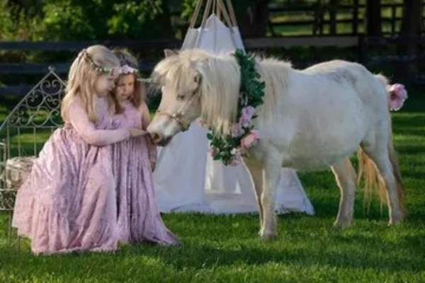 Hogback Mountain Pony Rides