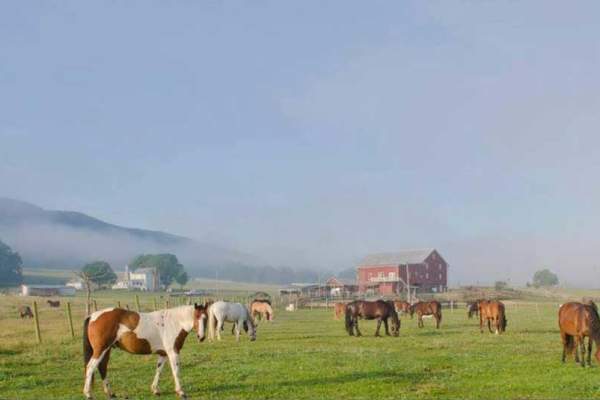 Secret Passage Ranch