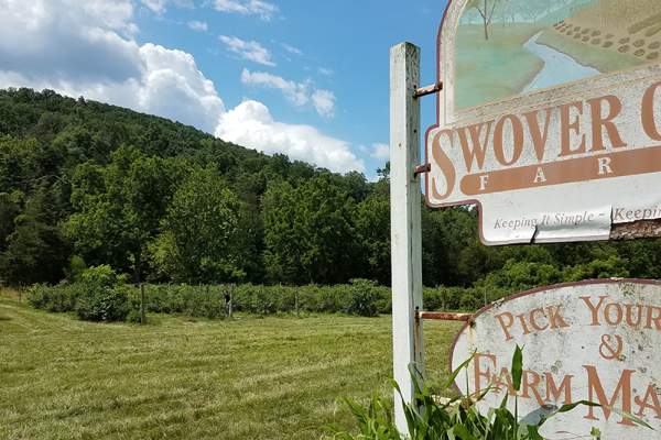 Swover Creek Farm and Brewery