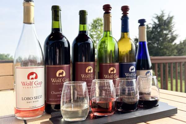 Wolf Gap Vineyard Guided Tour & Tastings