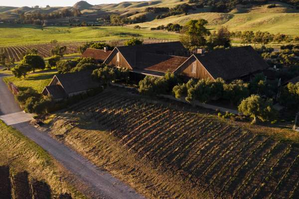 Ram's Gate Winery