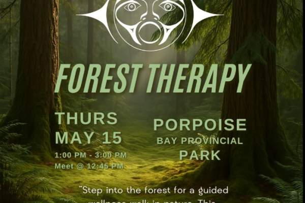 Forest Therapy (Bathing): Community Event