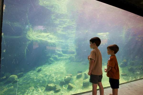 Rosamond Gifford Zoo at Burnet Park