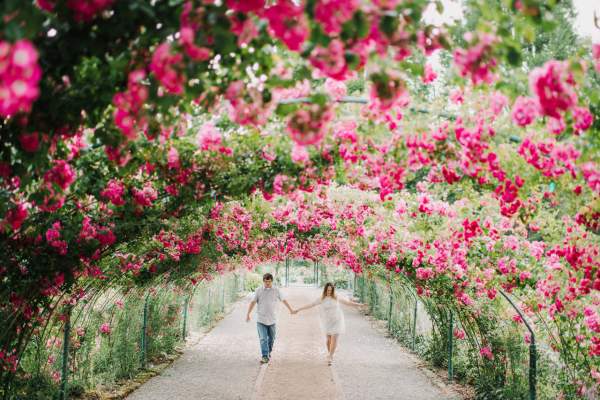 Point Defiance Rose Garden