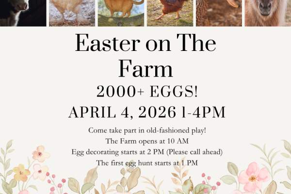 Easter Egg Hunt & Egg Decorating