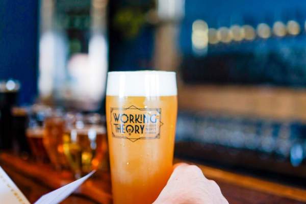 Working Theory Beer Co