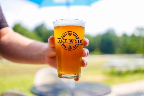 Lake Wylie Brewing Co. - Rock Hill