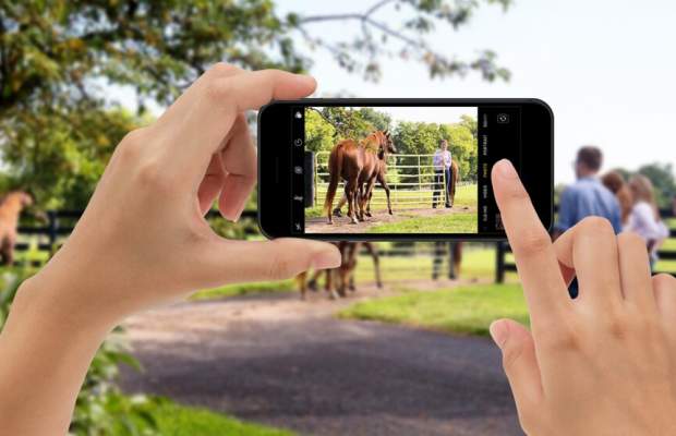 A user takes a photo of a guide with horses outside on their phone.
