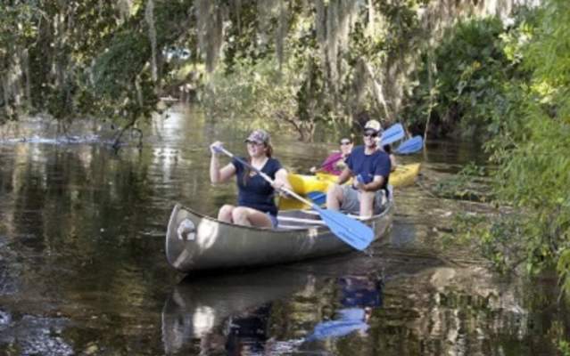 Along The Peace River In Punta Gorda Visit Florida