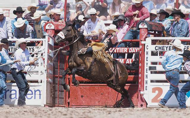 Cheyenne native Brody Cress rides a saddle bronc horse out of the chutes
