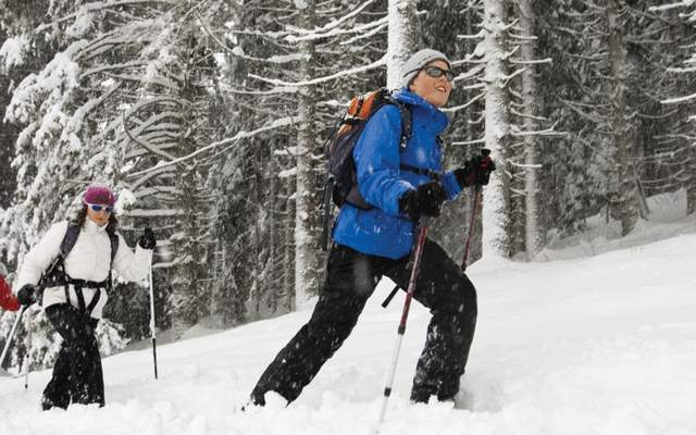 Three adults snow shoe through the forest