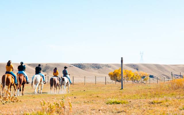 Horseback Riding Things to Do