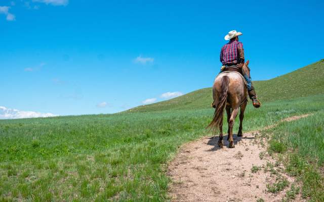 Pristine blue sky, green prairie foreground, man with cowboy hat seen from the back riding horse.