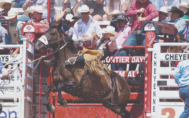 Cheyenne native Brody Cress rides a saddle bronc horse out of the chutes