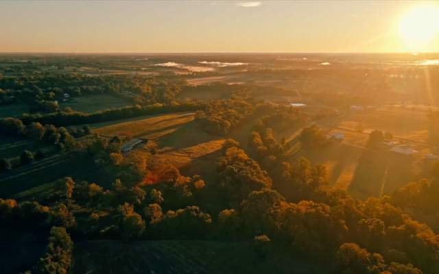 Wide sunny landscape shot