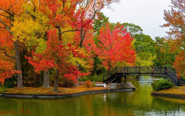 Fall