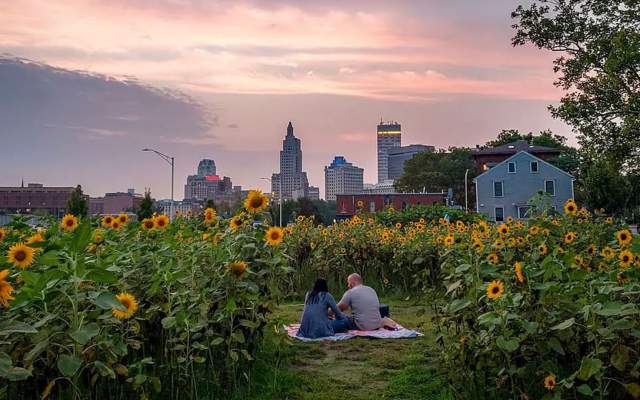 Skyline & Sunflowers