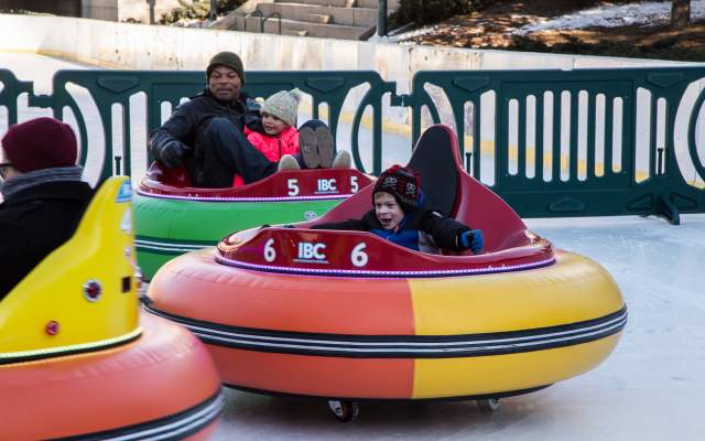 Ice Bumper Cars
