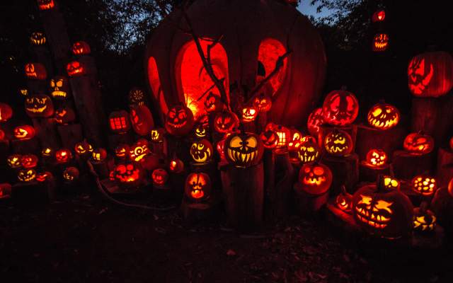JOLS Group Pumpkins