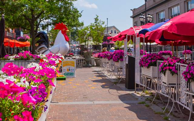 Federal Hill Blog Header