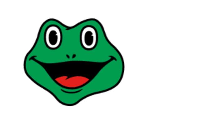 Big Froggy 101