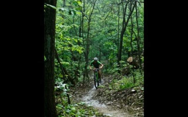 Advanced mountain sale bike skills