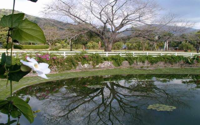 Hope Botanical Gardens
