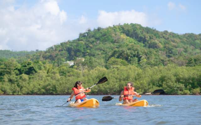 Alligator Head Foundation