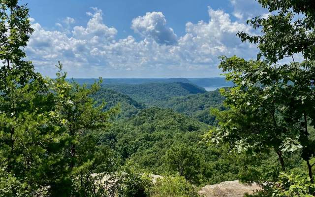 Best hikes daniel store boone national forest