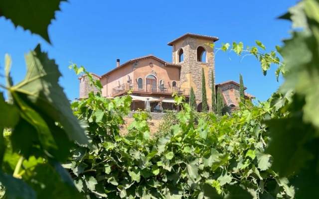 Robert Renzoni Wedding Please The Palate | The Return Of Temecula
