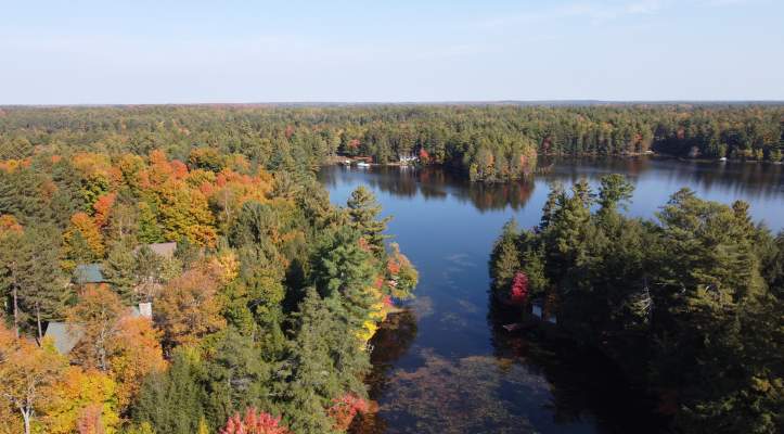 Lake Aerial alternate, fall trees