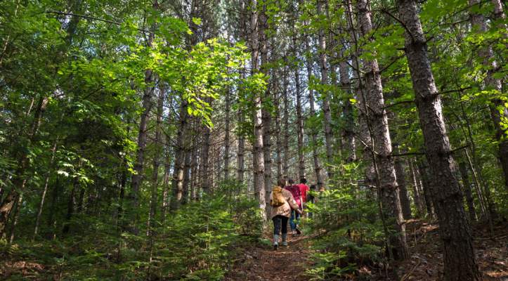 Sam Campbell Memorial Trail