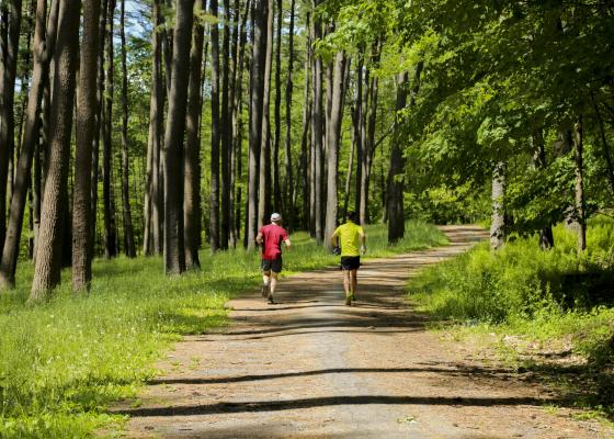 Hiking trails in Otsego County NY