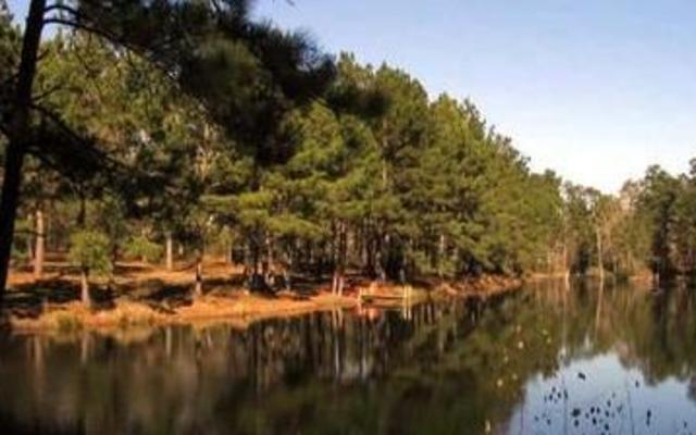 Lone star hiking trail camping top