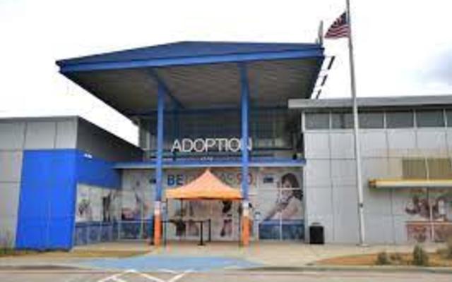 Dallas Animal Services Adoption Center