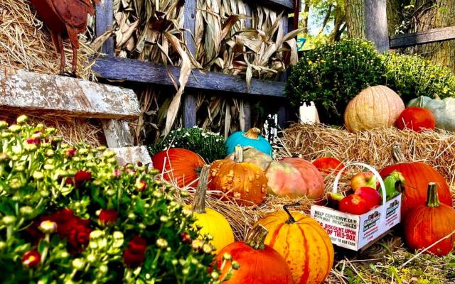 Watermans farm discount