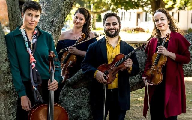 Newport String Project Quartet