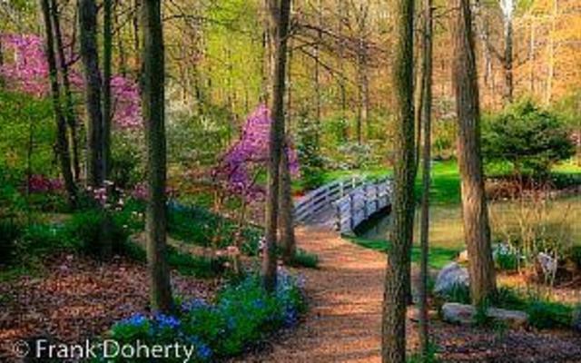 Gap 2025 kids arboretum