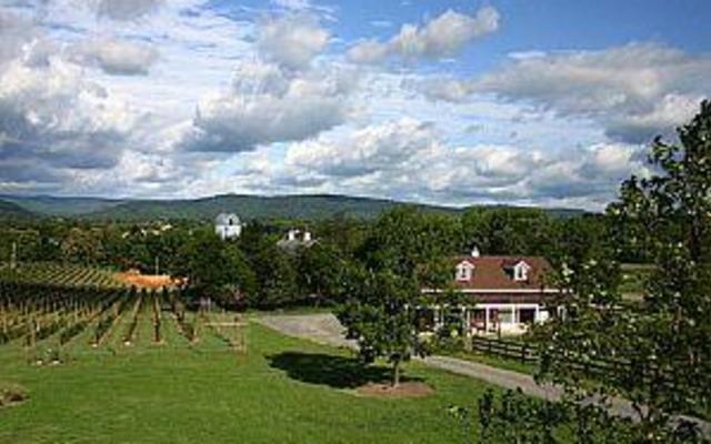 Sunset hill winery sales